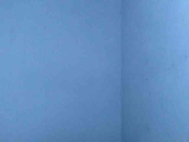 Rema-2 webcam