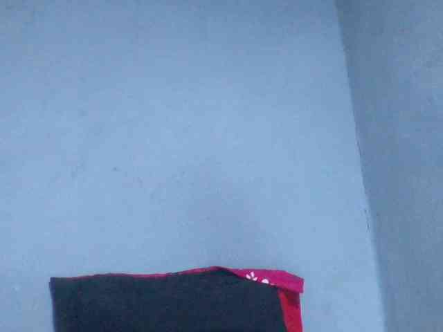 Rema-2 webcam