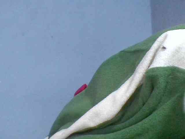 Rema-2 webcam