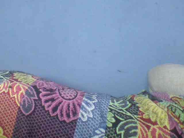 Rema-2 webcam