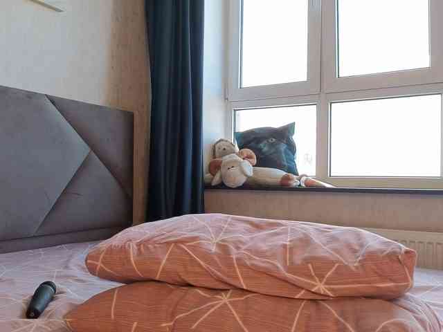Model: SummerStella