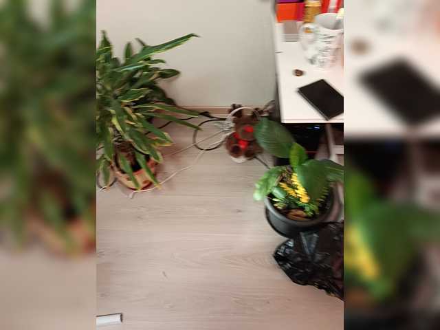 Gangik66677 live cam