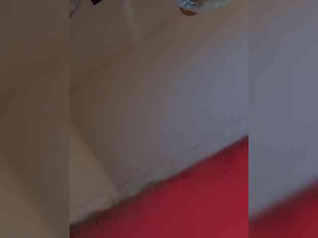 gangik66677's live room