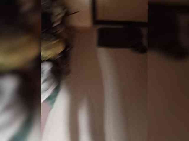 Gangik66677
