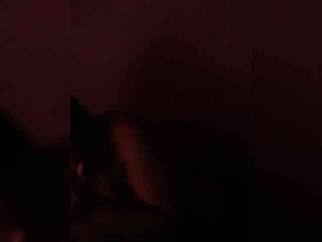 Modelo: GloriaLove22