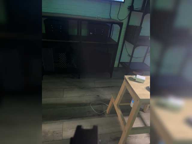 CatAndCat