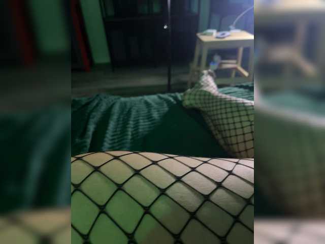 CatAndCat
