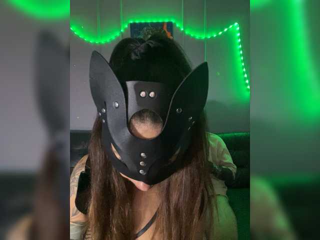 CatAndCat