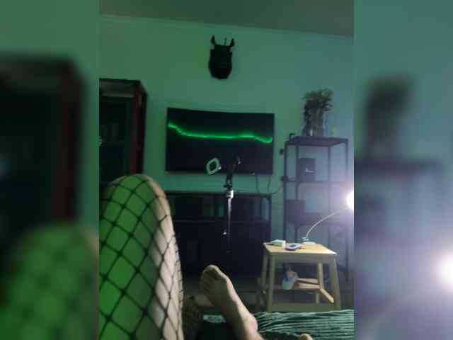 CatAndCat webcam