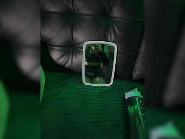 CatAndCat webcam