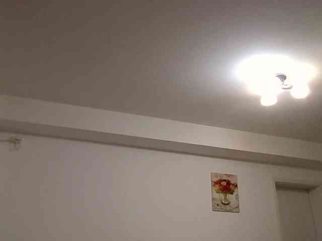 Anais8900 webcam