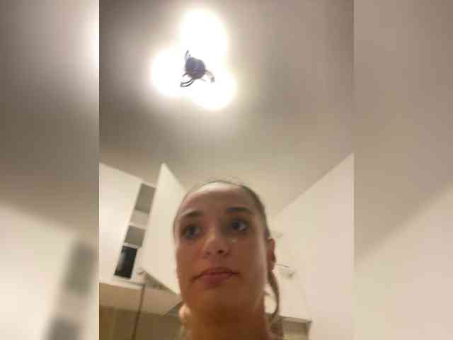 Anais8900