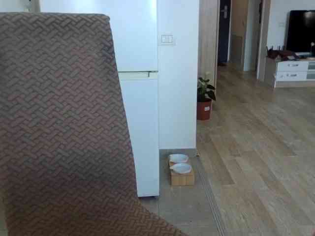 Anais8900 webcam
