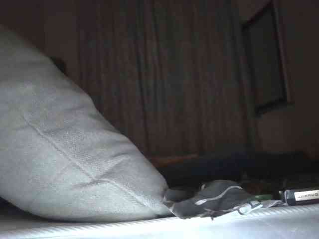 Anais8900 webcam