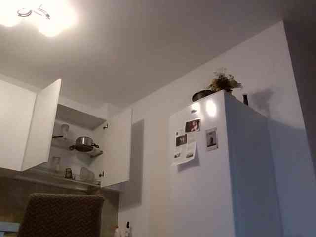 Anais8900 webcam