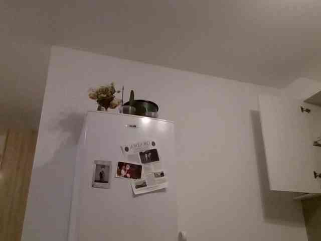 Anais8900 webcam