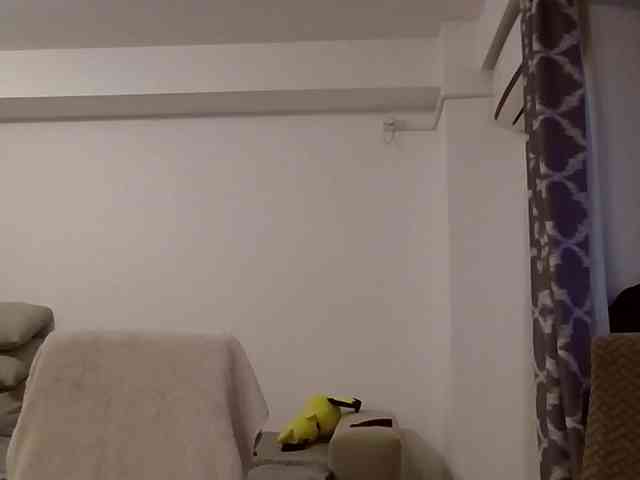 Anais8900