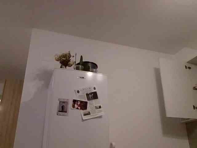 Anais8900 webcam