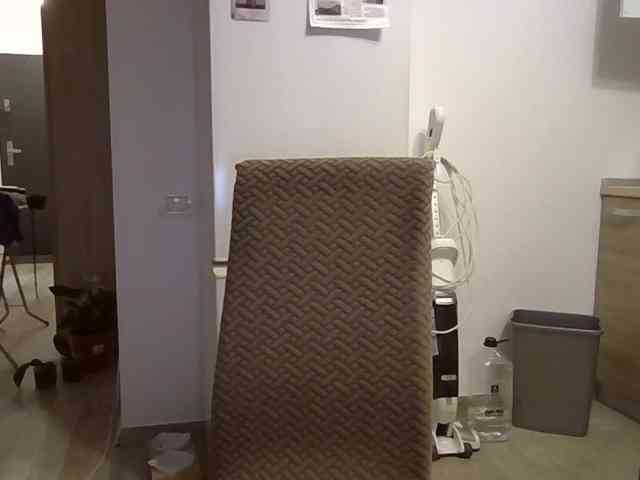 Anais8900 webcam