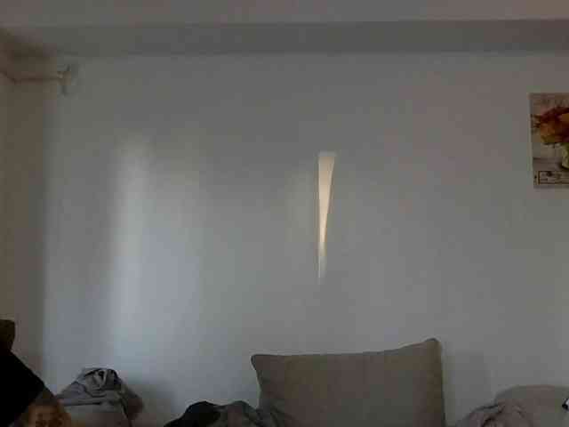 Anais8900 webcam