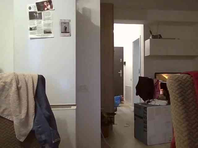 Anais8900 webcam