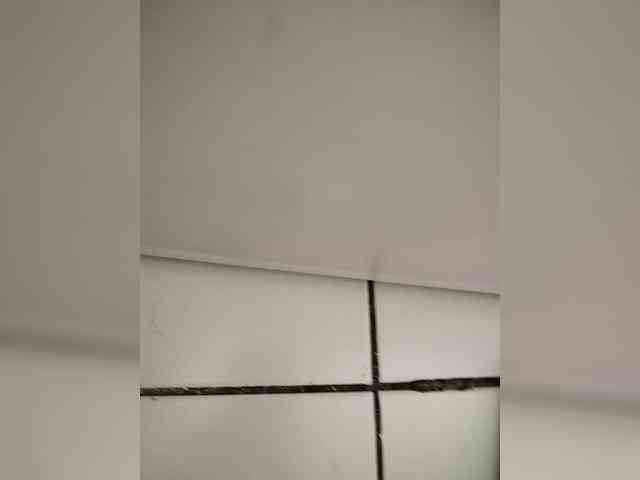 Jazzy1 webcam