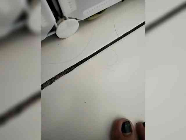 Jazzy1 webcam