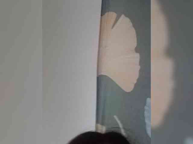 Jazzy1 webcam