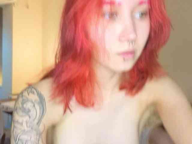 BabyGolly webcam