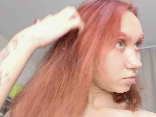BabyGolly webcam