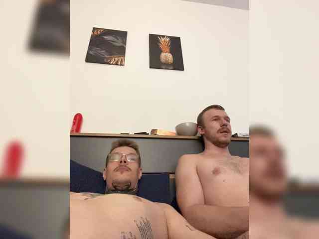 dkanis