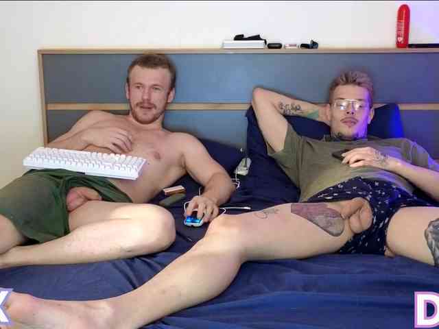 dkanis