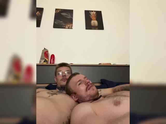dkanis