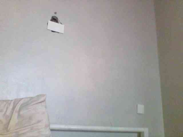 EllyStacy webcam