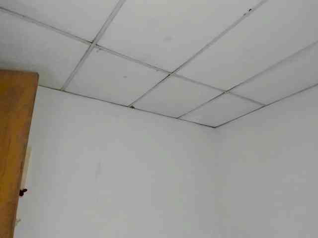 giorivera webcam