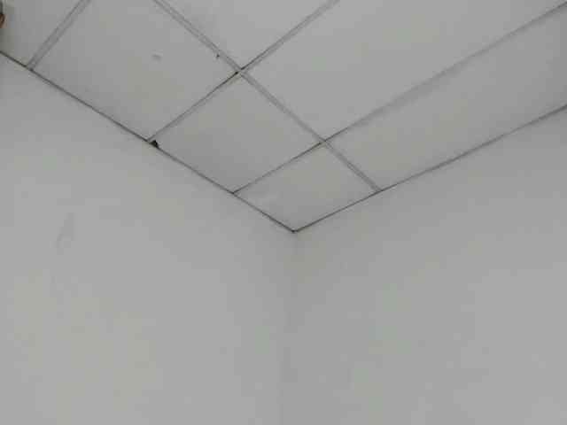 giorivera webcam