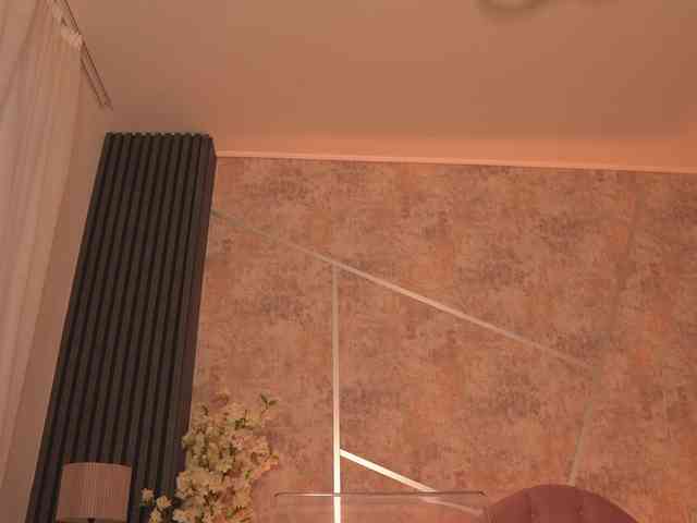 TessaXStar webcam