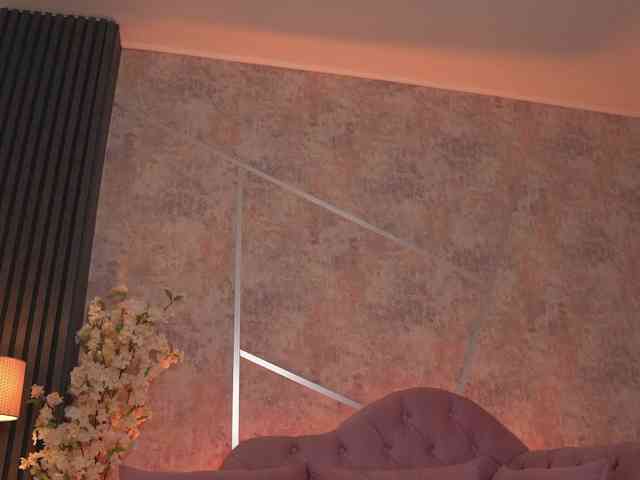 TessaXStar webcam