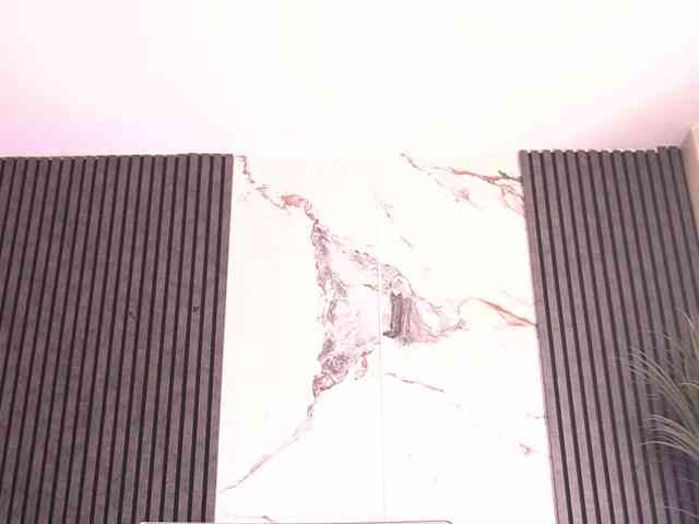 TessaXStar webcam