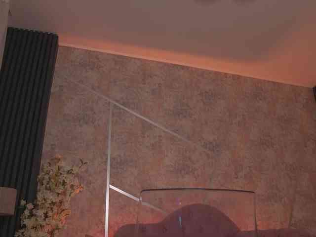 TessaXStar webcam