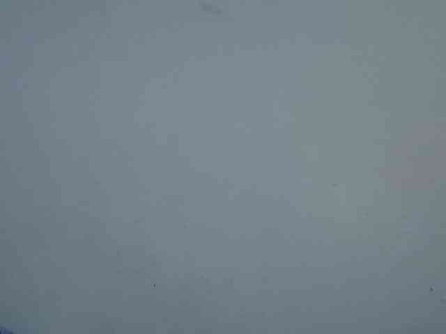 sweetellena1 webcam