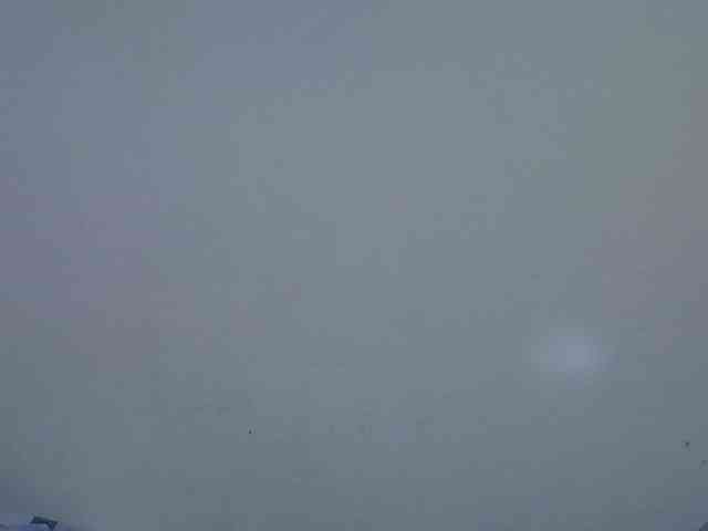 sweetellena1 webcam