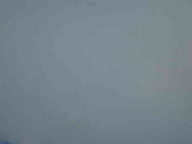 sweetellena1 webcam
