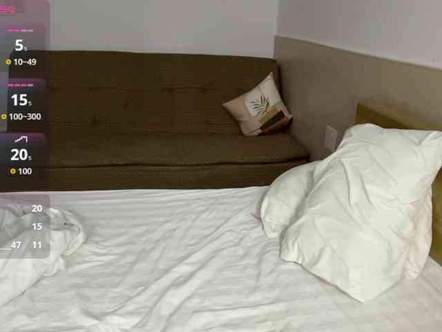 ElaWish webcam
