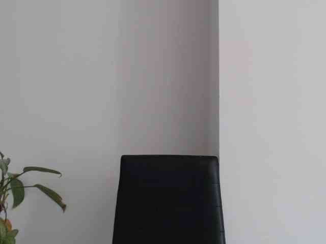 ReginaCorleone webcam