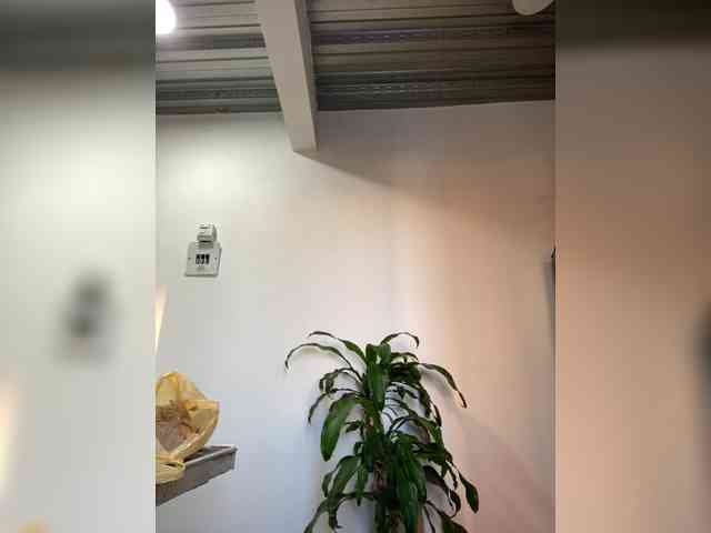 ReginaCorleone webcam