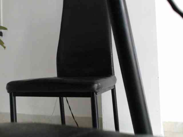 ReginaCorleone webcam