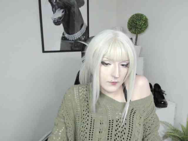 DreamNIKA webcam