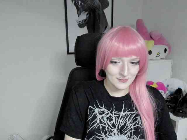 DreamNIKA webcam