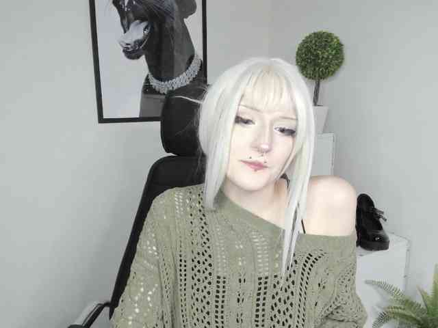 DreamNIKA webcam